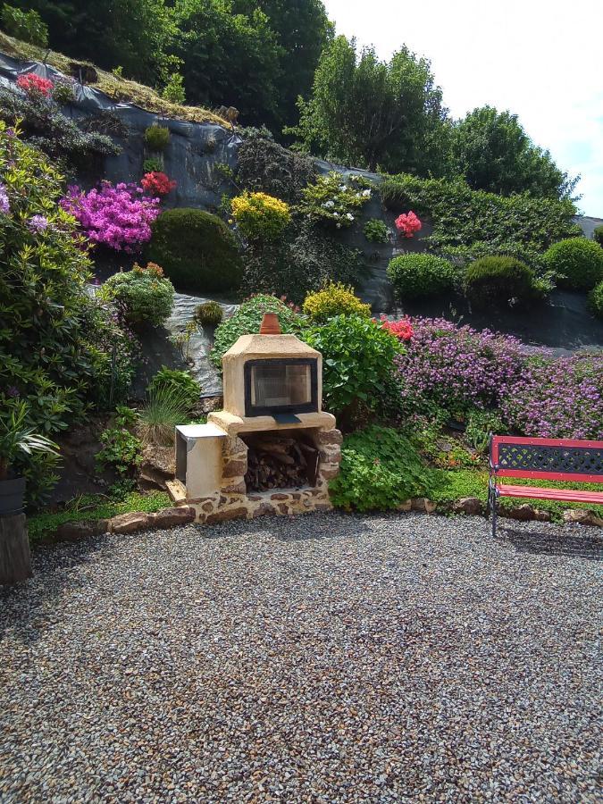 Les Hortensias Holiday home La Poultiere