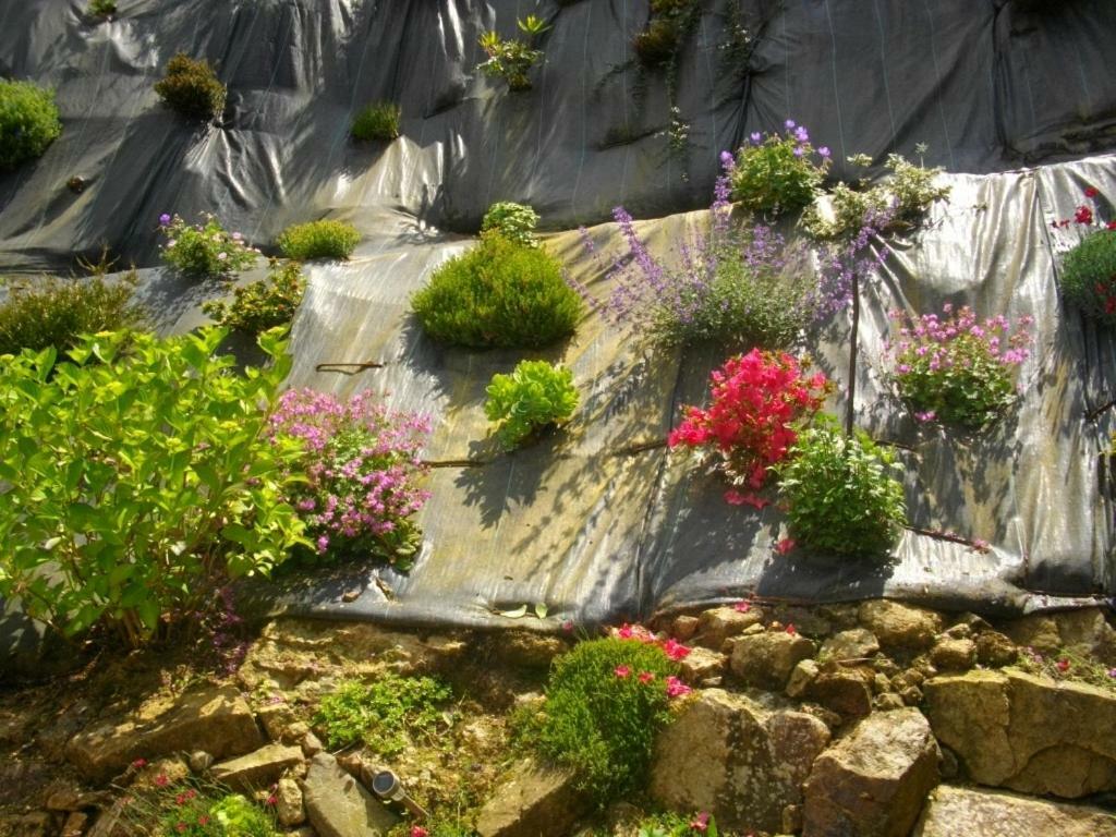 Les Hortensias Holiday home